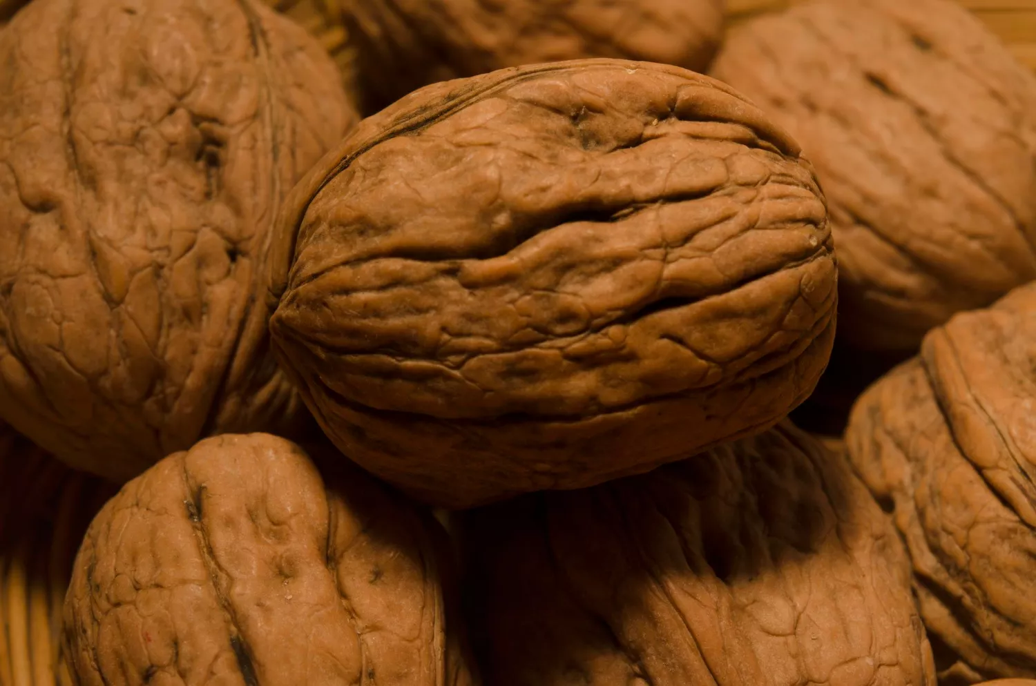 Walnut Peptides (Peptida Kacang Walnut)
